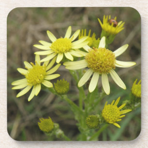 Hübsch Gelbe Wildblumen Cork Untersetzer