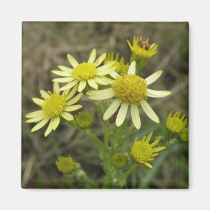 Hübsch-Gelbe Wildblumen-Magnet Magnet