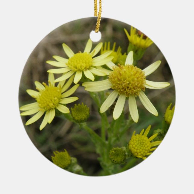 Hübsch Gelbe Wildblumen Ornamente (Vorne)