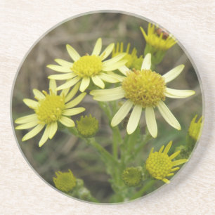 Hübsch Gelbe Wildblumen Untersetzer