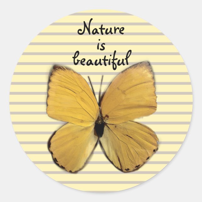 Hübsch-Gelber Schmetterling Runder Aufkleber (Vorderseite)