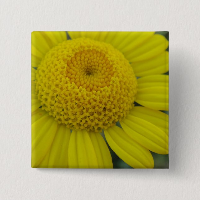 Hübsch-Gelbmarguerit Button (Vorderseite)