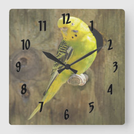 Hübsch-Gelbparaket Quadratische Wanduhr