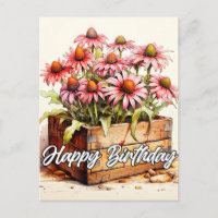 Hübsch gepflanzte Aster-Blume