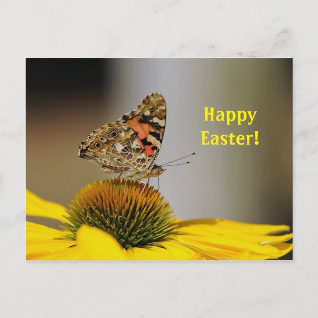 Hübsch gestrichene Lady Butterfly Flora Foto Oster Postkarte (Vorderseite)