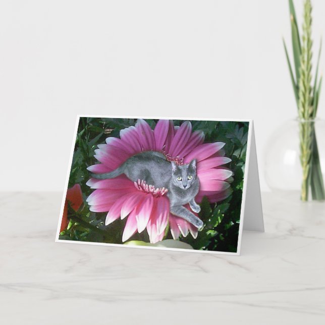 Hübsch im Rosa Karte (Vorderseite)