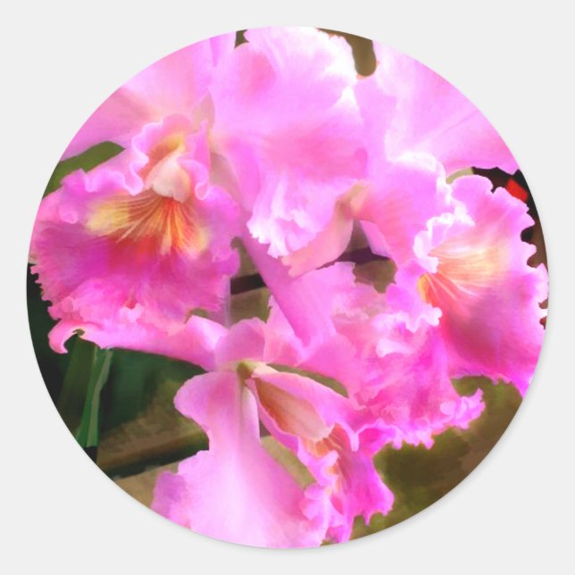 Hübsch in Pink Cattleya Orchids Runder Aufkleber (Vorderseite)