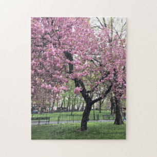 Hübsch in Pink Cherry Blossom Tree NYC New York