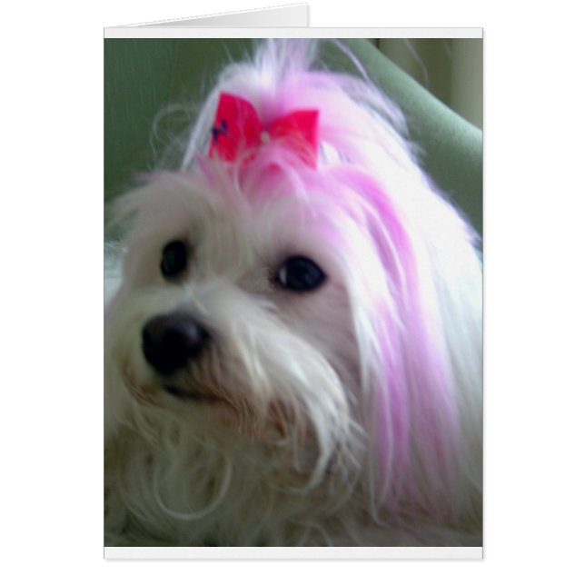 Hübsch in rosa (Vorne)