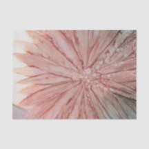 Hübsch in rosa Gewebpapier