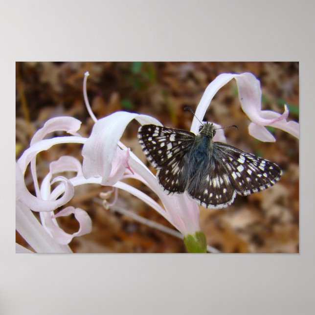 Hübsch in rosa poster (Vorne)