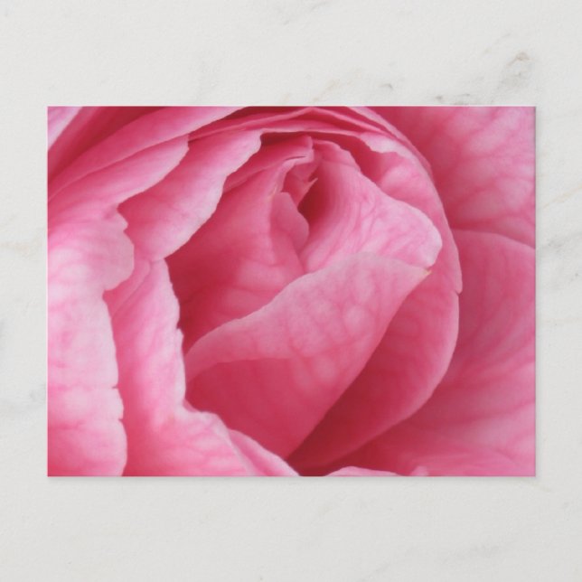 Hübsch in rosa postkarte (Vorderseite)