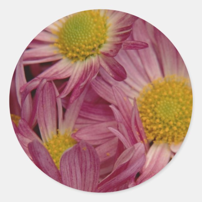 Hübsch in Rosa: Umschlag Aufkleber (Vorderseite)