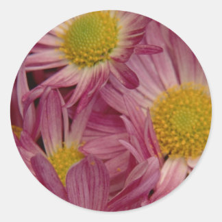 Hübsch in Rosa: Umschlag Aufkleber