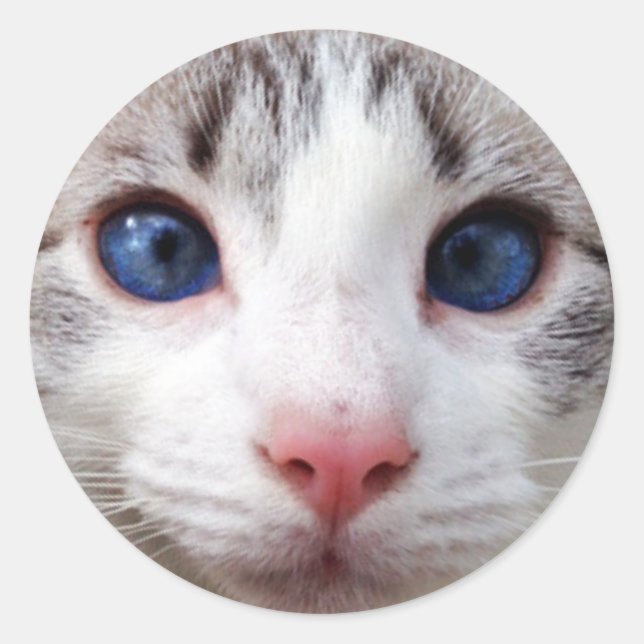 Hübsch Kitty Cat Runder Aufkleber (Vorderseite)