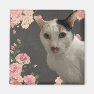 Hübsch Kitty Magnet