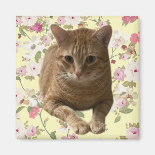 Hübsch Kitty Magnet