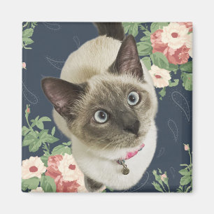 Hübsch Kitty Magnet