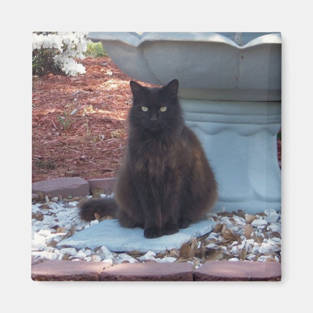 Hübsch Kitty Magnet (Vorne)