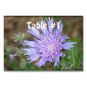 Hübsch Lavender Scabiosa Tischnummer