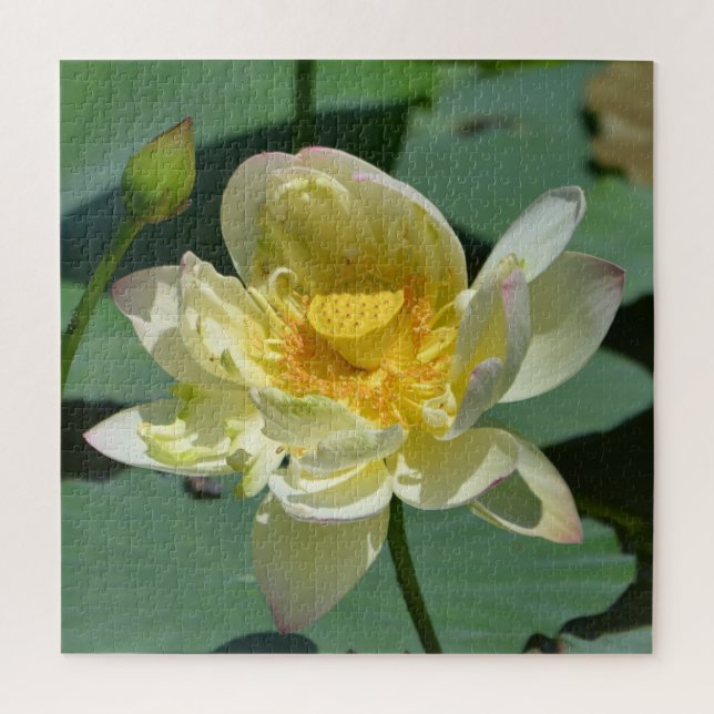 Hübsch Lotus Blossom (Vertikal)