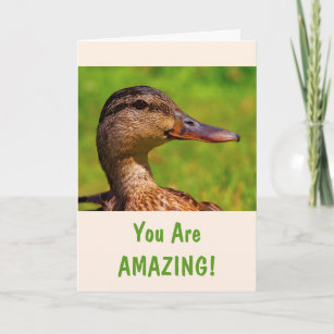 Hübsch Mallard Duck Nature Geburtstag Karte