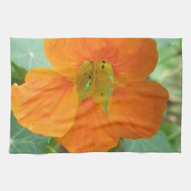 Hübsch Orange Nasturtium Blume Handtuch (Horizontal)