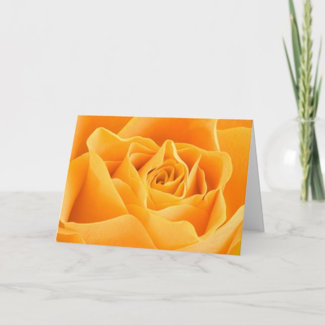 Hübsch Orange Rose Grußkarte Karte (Vorderseite)