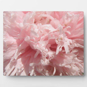 Hübsch Pale Pink Poppy Plaque Fotoplatte