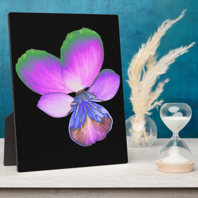 Hübsch Pansy Plaque Fotoplatte (Seite)