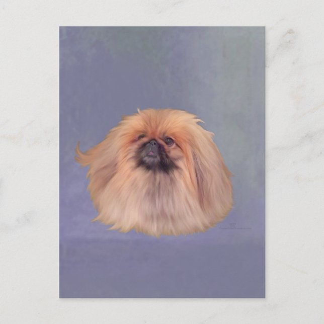 Hübsch Pekingese Postkarte (Vorderseite)