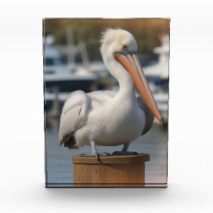 hübsch Pelican Fotoblock