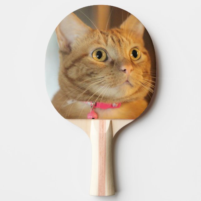 Hübsch Penny Tischtennis Schläger (Vorderseite)