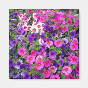 Hübsch Petunias Magnet