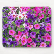 Hübsch Petunias
