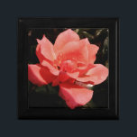 Hübsch Pfirsiche Rosa Rose Erinnerungskiste<br><div class="desc">Peach Pink Rose Schönes Foto einer peachy rosa Rose von der Künstlerin Sandra Marie Closs. Fügen Sie Ihren eigenen Text, Namen oder Monogramm hinzu, um das perfekte Produkt für jeden Anlass zu erstellen. Hochzeit, Brautparty Garten Party, Beileid , Geburtstag, Babydusche, jede Feier oder einfach nur um Ihren Tag ein wenig...</div>