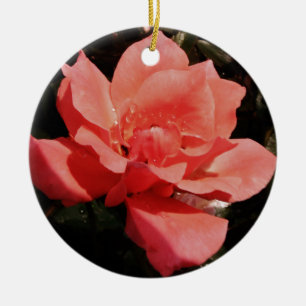 Hübsch Pfirsiche Rosa Rose Keramik Ornament