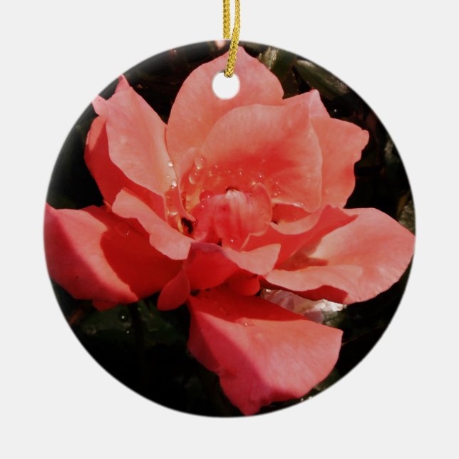Hübsch Pfirsiche Rosa Rose Keramik Ornament (Vorne)