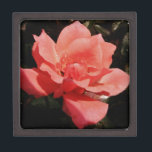 Hübsch Pfirsiche Rosa Rose Schachtel<br><div class="desc">Peach Pink Rose Schönes Foto einer peachy rosa Rose von der Künstlerin Sandra Marie Closs. Fügen Sie Ihren eigenen Text, Namen oder Monogramm hinzu, um das perfekte Produkt für jeden Anlass zu erstellen. Hochzeit, Brautparty Garten Party, Beileid , Geburtstag, Babydusche, jede Feier oder einfach nur um Ihren Tag ein wenig...</div>
