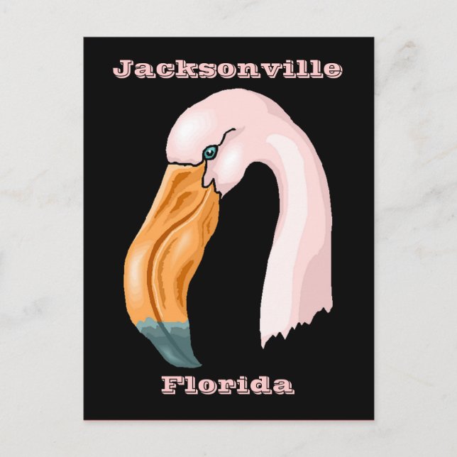 HÜBSCH PINK FLAMINGO REISE SOUVENIR TRIP POSTCARD POSTKARTE (Vorderseite)