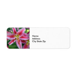 Hübsch Pink Lily Floral Foto