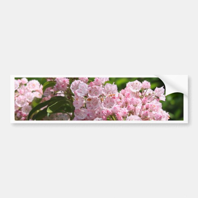 Hübsch Pink Mountain Laurel Blume Autoaufkleber (Vorne)