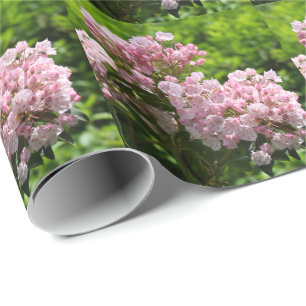 Hübsch Pink Mountain Laurel Blume Geschenkpapier