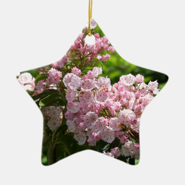 Hübsch Pink Mountain Laurel Blume Keramikornament (Vorne)