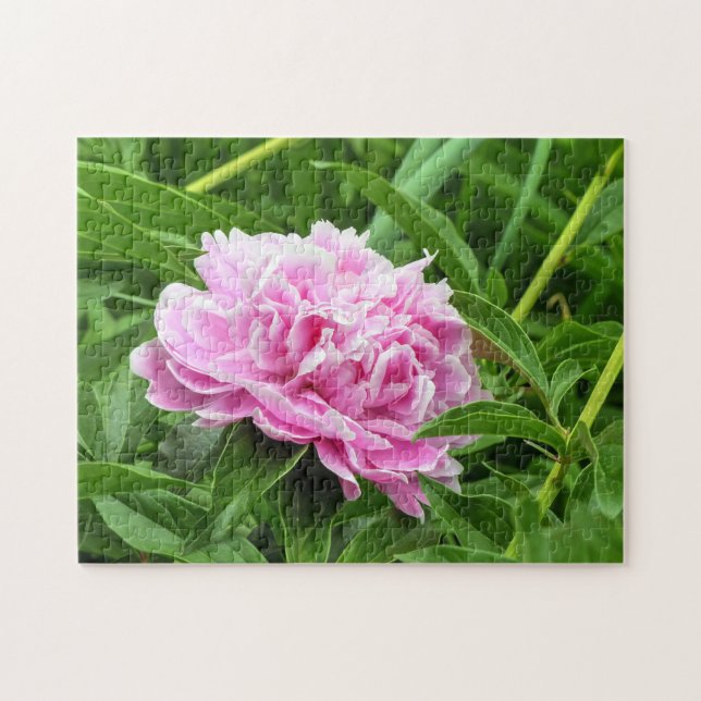 Hübsch Pink Peony (Horizontal)