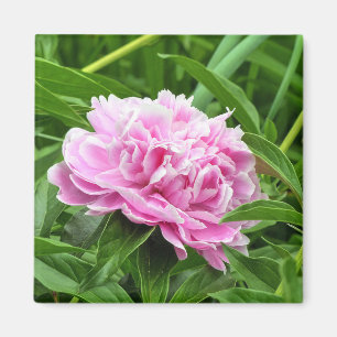 Hübsch Pink Peony Magnet