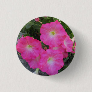 Hübsch Pink Petunia Blume Foto Button