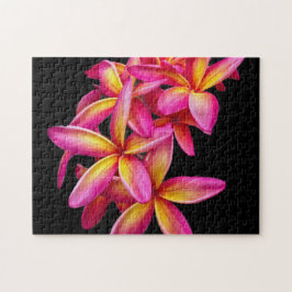 Hübsch Pink Plumeria Floral Foto