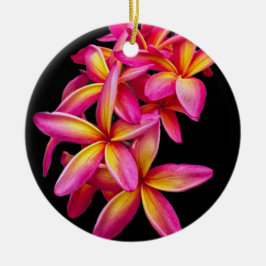 Hübsch Pink Plumeria Floral Foto Keramik Ornament
