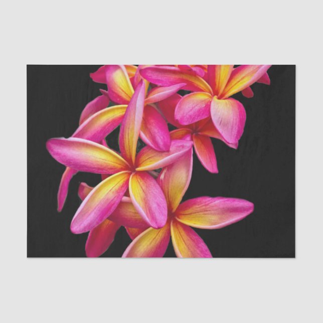 Hübsch Pink Plumeria Floral Foto Seidenpapier (Vorderseite)